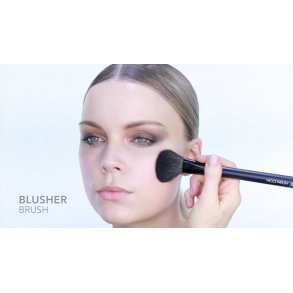 Blusher brush